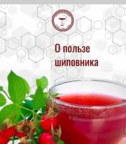 О пользе шиповника 